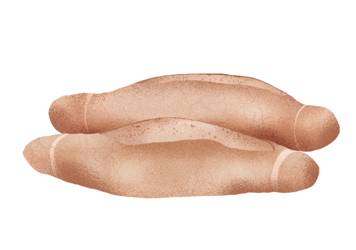 quarticella_desktop.png