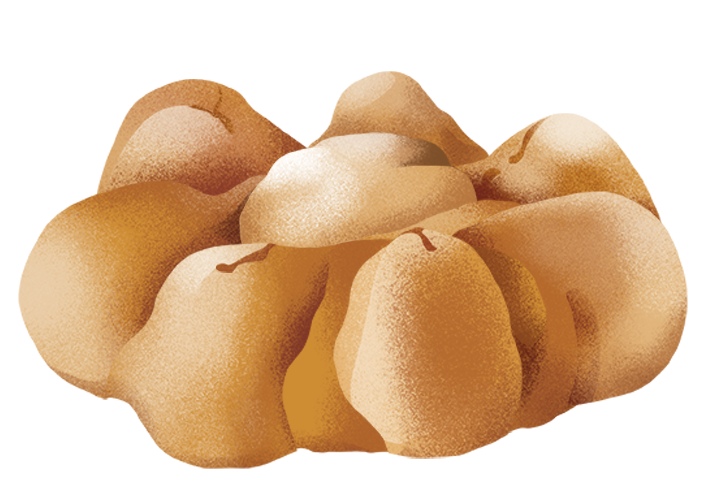 sa-tunda_desktop.png