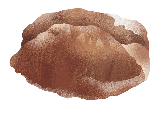 scanata_desktop.png