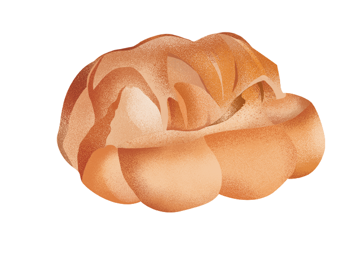 treccia-casereccia_desktop.png