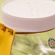 Vasetto Annaffiatutto | Nutella