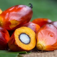 Frutti Olio di Palma | Nutella
