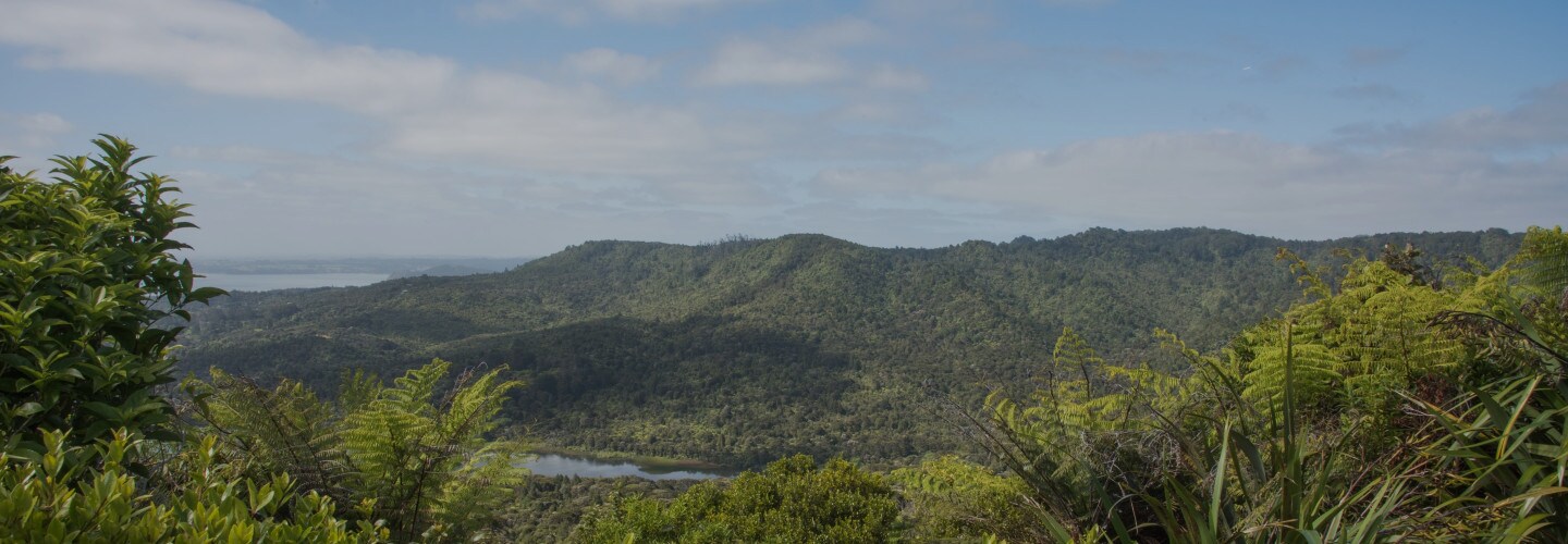 La Nostra Visione Sostenibilità | Nutella