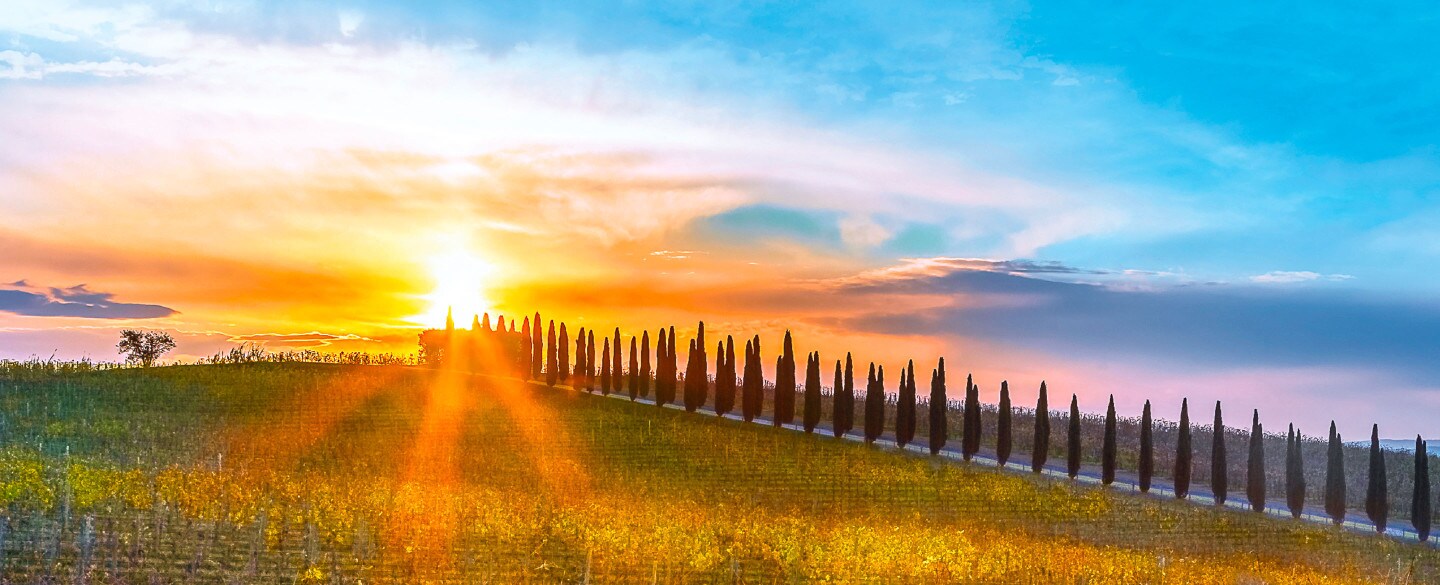 M17_FER18408d_TOSCANA