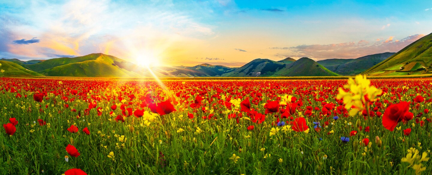 M18_FER18408d_UMBRIA