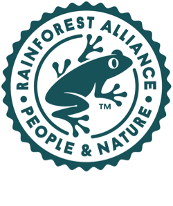 Logo Cacao Rainforest
