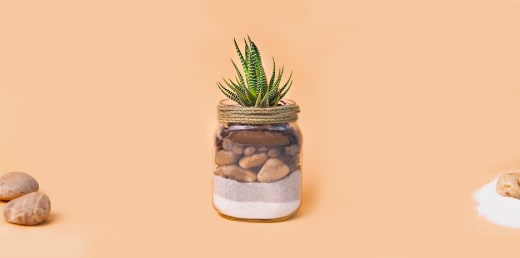 Vasetto Piantina | Nutella