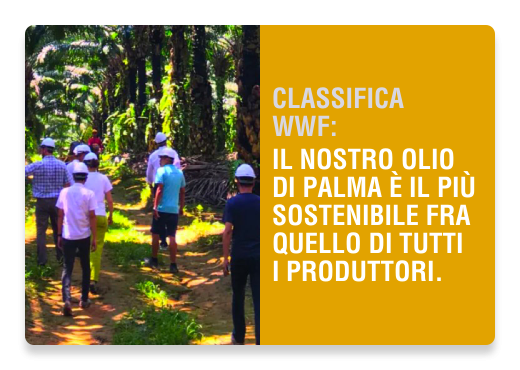Olio di Palma Sostenibilità Certificata WWF | Nutella