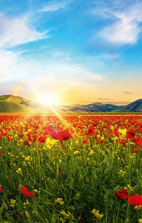 Cartolina con scritta "Nutella® buongiorno" e elementi da colazione.