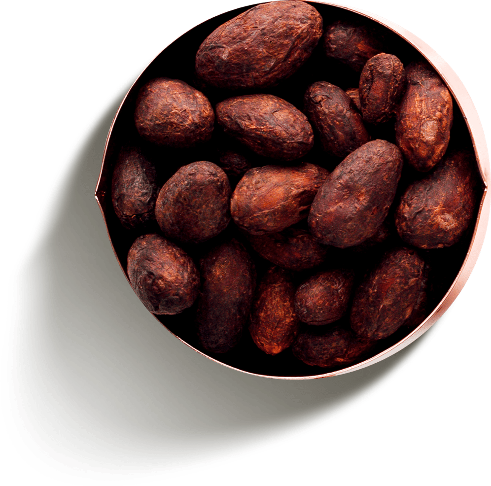 „Rainforest Alliance™“ arba UTZ sertifikuota kakava „Rainforest Alliance™“ arba UTZ sertifikuota kakava