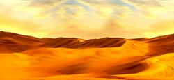 Get a taste of Liwa    