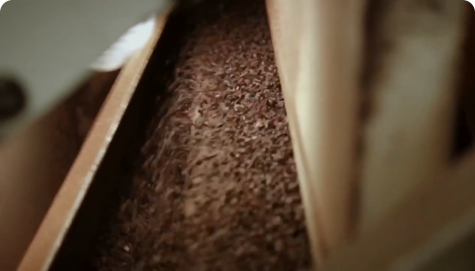 Roasting cocoa beans in large trays as step two of processing.
