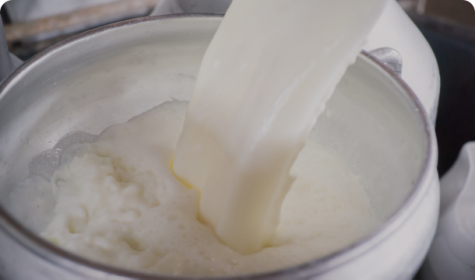 Skimming milk during initial milk powder production for Nutella ingredients.