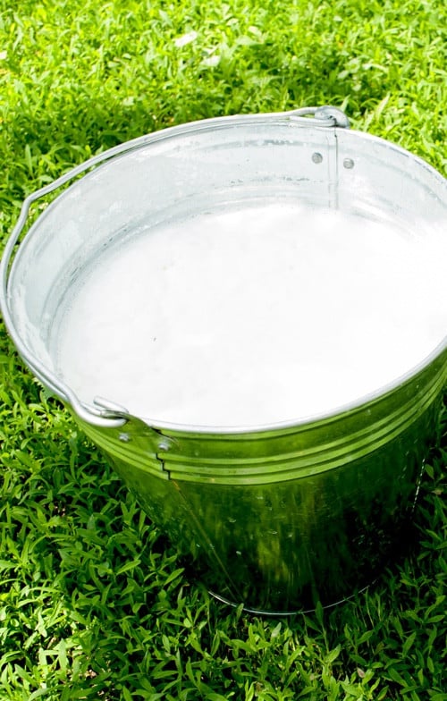 Fresh milk bowl as a Nutella ingredient, close-up.