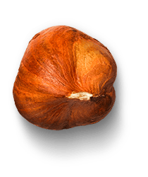 Hazelnut