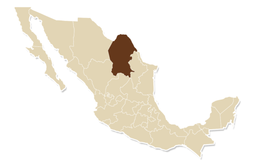 Coahuila map