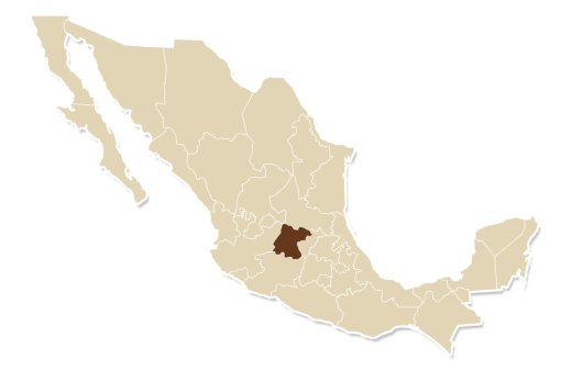 GUANAJUATO map