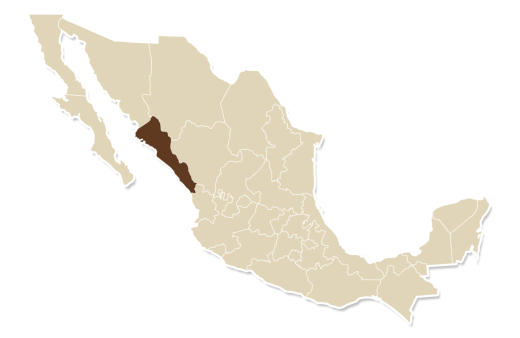 Nutella® ama combinar con la receta de Sinaloa