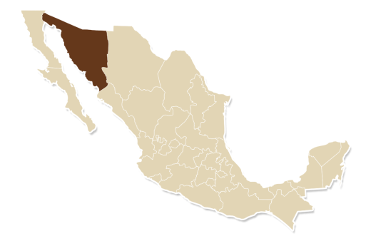 map sonora