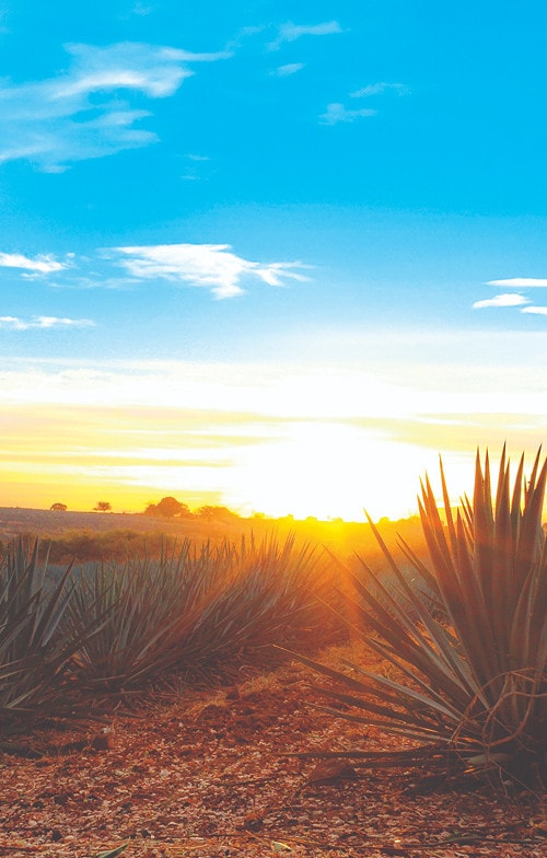 Nutella® buenos días