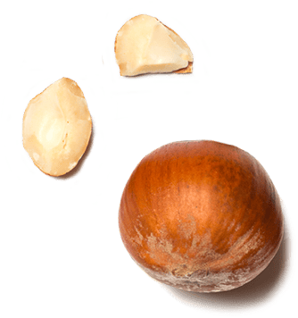 Hazelnuts