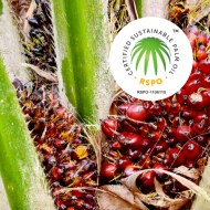 Sustainable Palm oil 