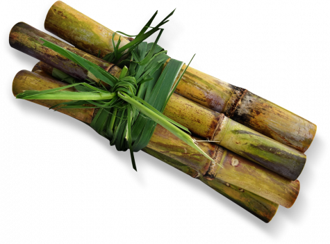 Rietsuikerboerderij | Nutella