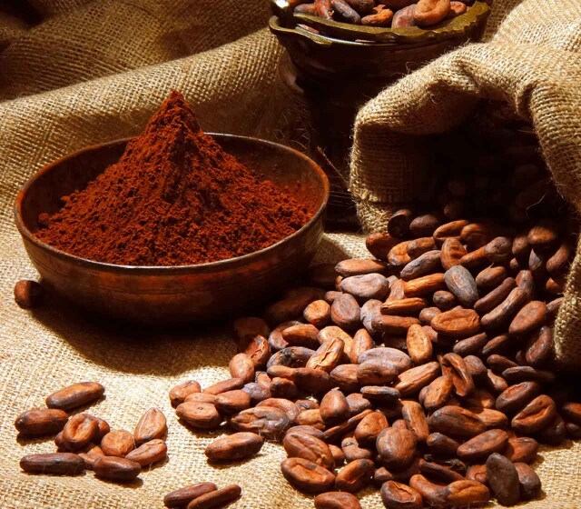 poudre-cacao-nutella_0