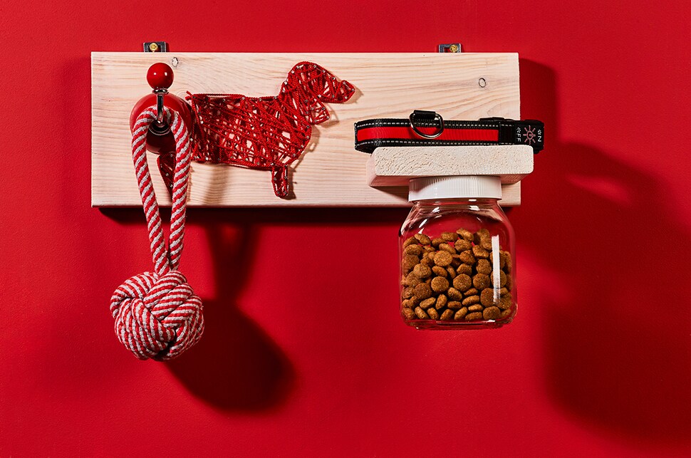 Gotowy niezbędnik dla psa