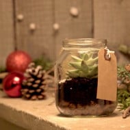Nutellarium