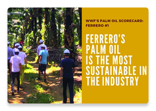 Palm Oil Scorecard | Nutella