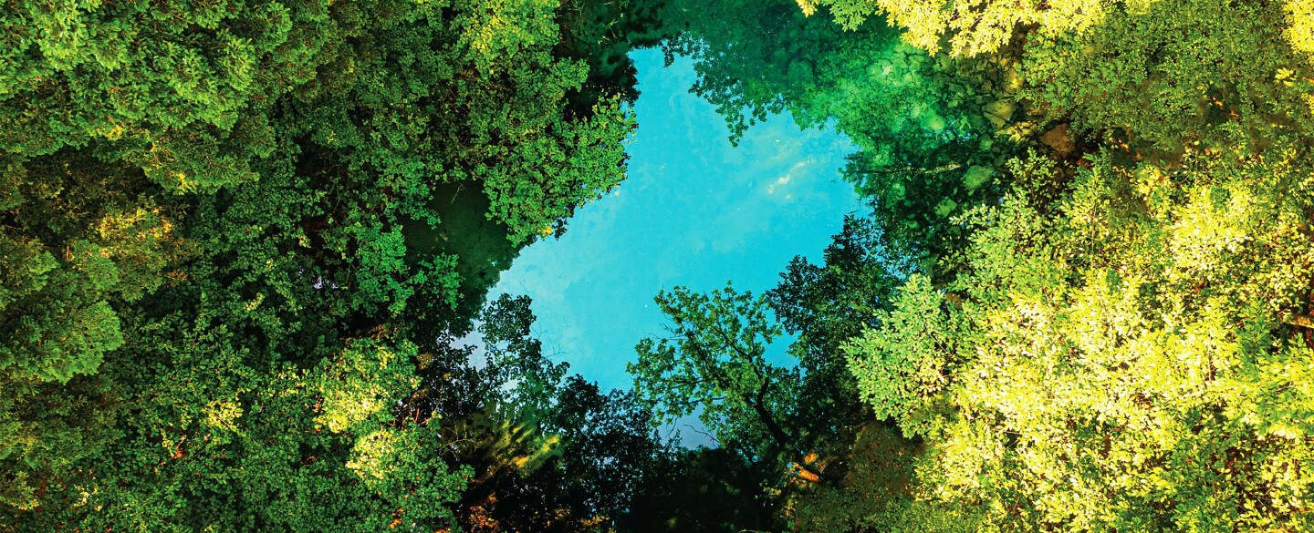 Lacul Ochiul Beiului