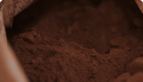 The Cocoa Powdering | Nutella