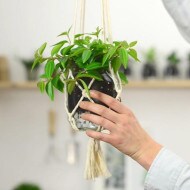 Сделай сам. Кашпо из пустой банки Nutella®