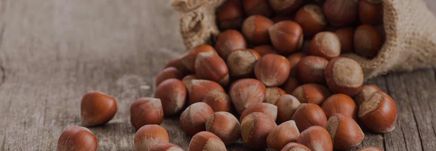 Hazelnuts Ingredient | Nutella Hazelnutsground | Nutella