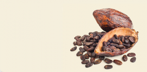 Dried Cocoa Beans | Nutella