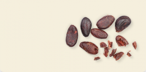 Roasted Cocoa Beans | Nutella