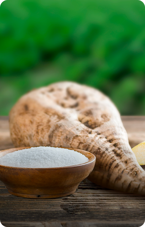 Ingredients Sugar Beet Cane | Nutella