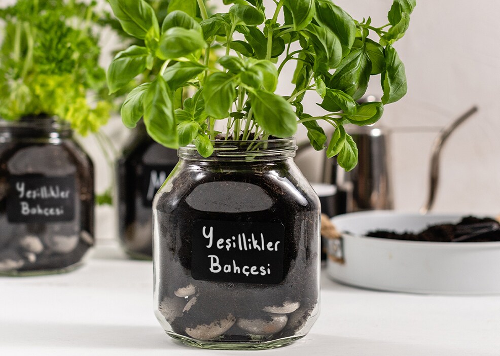 Nutella® kavanozunda yeşillikler bahçesi bahçe