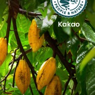 Cocoa Sustainable Commitments | Nutella