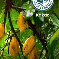 Cocoa Sustainable Commitments | Nutella