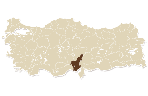 map_adana