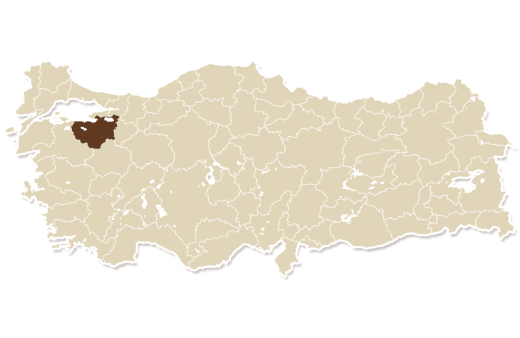 map_bursa