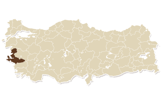 map_izmir
