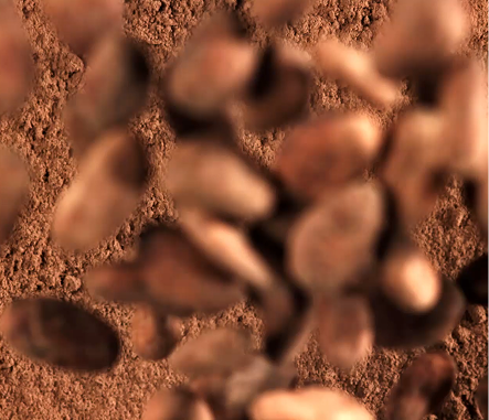 cocoa-ingr-box