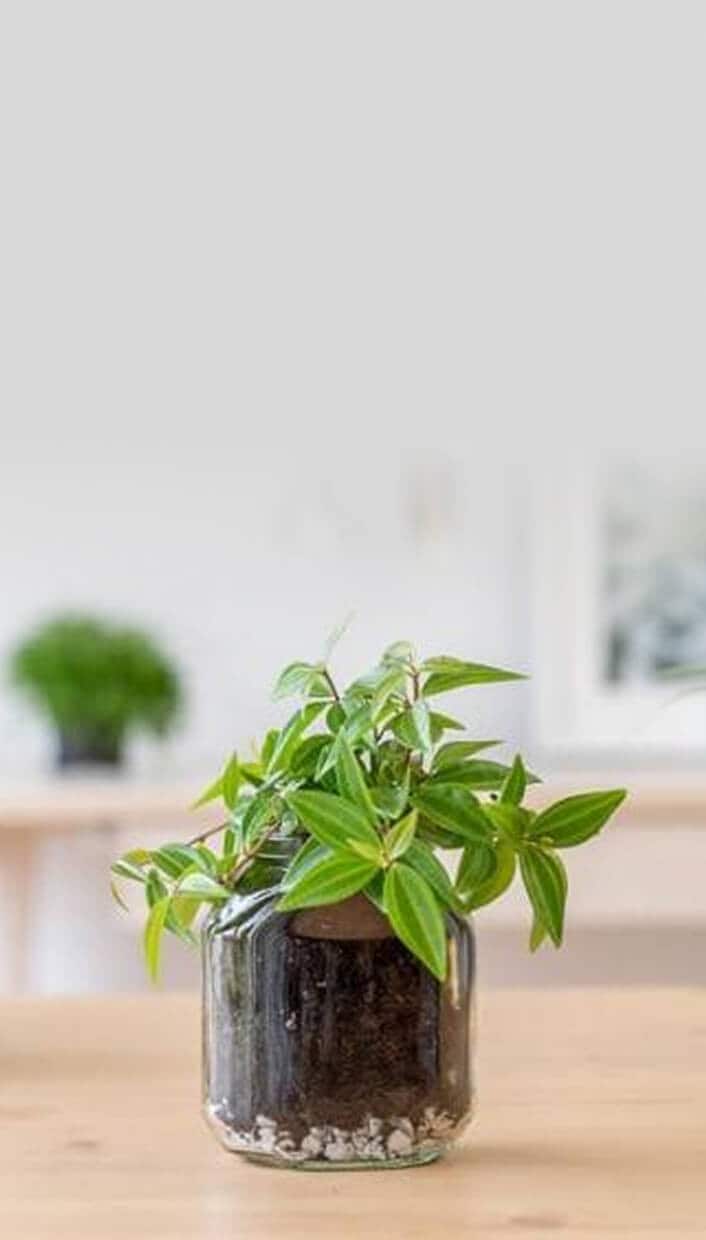 Banner_upcycle_mobile