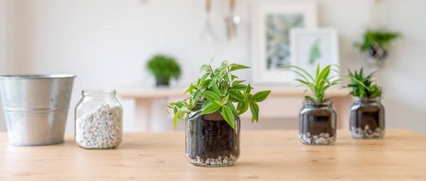 Banner_upcycle_desktop