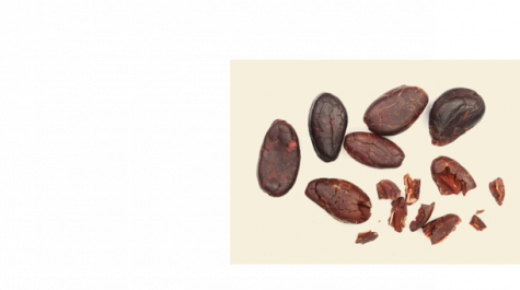 Roasted Cocoa Beans | Nutella