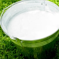 Bowl of milk representing dairy used in Nutella production on white background.