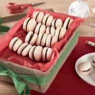 Assorted macarons filled with Nutella ganache, arranged on plate.